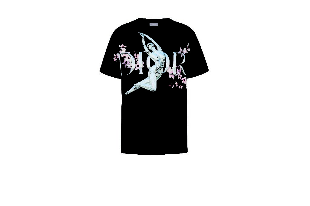 Dior T-Shirt $750 _1